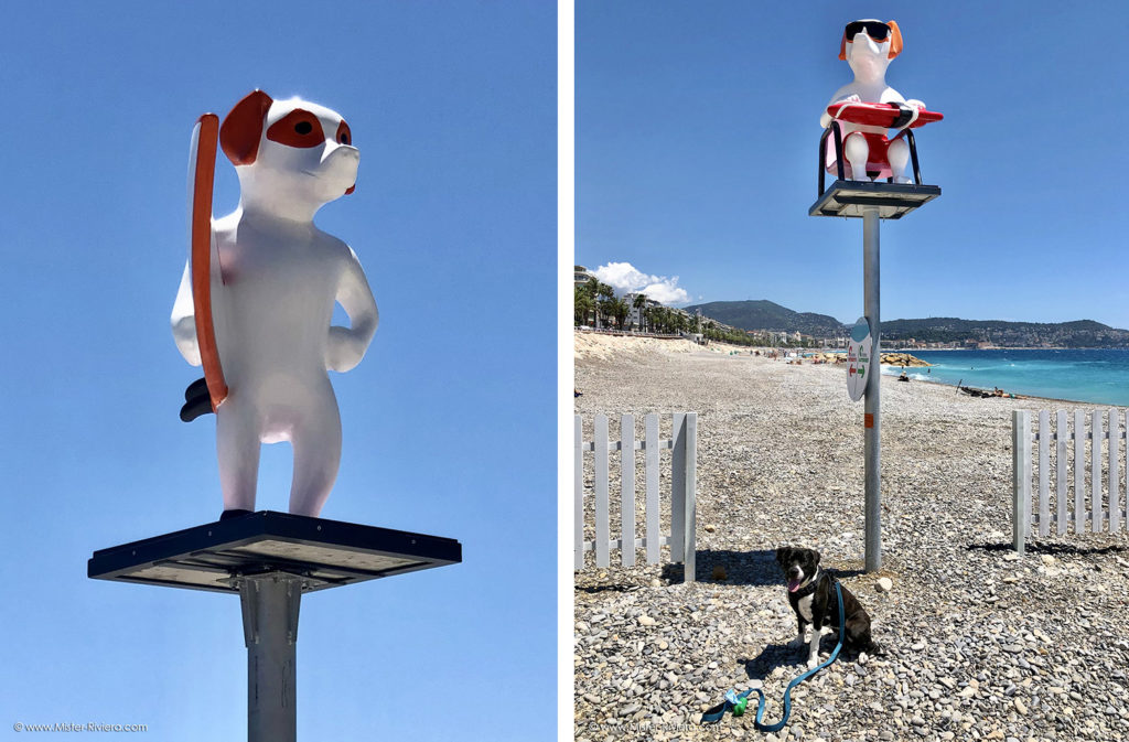 Une plage pour les chiens à Nice, la ville la plus "dog friendly" de France - Blog Mister Riviera, Côte d'Azur France